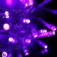 SmartPhonemall Waterproof String Light, Length: 10m, 100 LED, Flashing / Fading / Chasing Effect, with Controller, AC 220V, EU Plug(Purple Light)