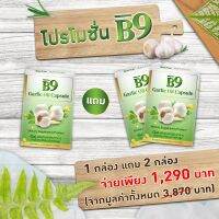 B9 Garlic oil บีไนน์ น้ำมันกระเทียมสกัดเย็น กล่องละ 20 แคปซูล ผลงานวิจัยร่วมมือ ม.เชียงใหม่ วิทยาลัยนครราชสีมา และ บจ.ราชาสมุนไพร