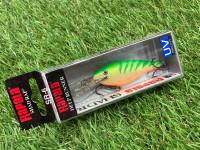 เหยื่อ RAPALA SHAD RAP (SR) 6 ซม. สี GTU (LIMITED) (เหยื่อดำลึก 5-10 ฟุต)