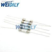 ☄☬✷ 10PCS Slow Blow Fuse Ceramic Fuse 5x20mm T3.15A 250V With 2 Pin Fuse 3.15A/250V 5X20MM New