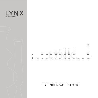 LYNX - CYLINDER VASE 18 - แจกันแก้ว แฮนด์เมด เนื้อใส ทรงกระบอก ปากและฐาน 18 ซม. มีให้เลือกหลายขนาด