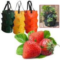 ✇▫๑ Multi-mouth Container Bag Planter Pouch Plant Growing Pot Side For Garden And Vegetable Patch Greenhouse For Planting