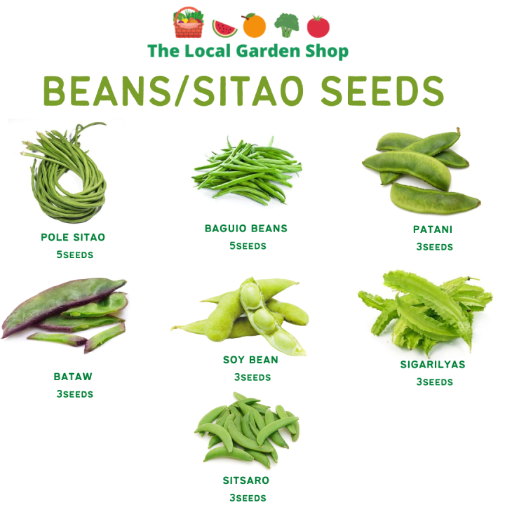 SITAW/BEANS SEEDS - SITAW SIGARILYAS PATANI BATAW SITSARO | Lazada PH