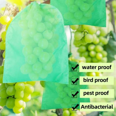 100PCS Garden Fruit Protection Bags Grape Apple Non-woven Fabric Breathable Anti-bird Pocket Pest Control Colanders Food Strainers