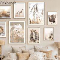 【cw】 Animals Poster Wall Pictures Reed Canvas Painting Posters Room