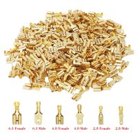 【hot】▽┅  100Pcs/lot 2.8/4.8/6.3mm Female and Male Crimp Terminal Gold Brass/Silver Car Electric Wire Connectors Set