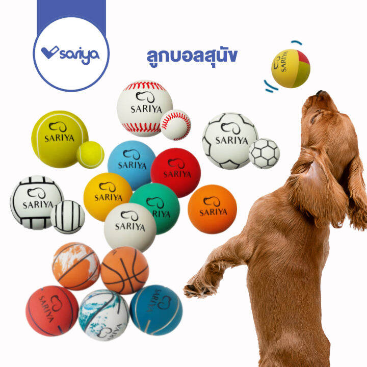 ลูกบอลสุนัข-tt531-tt532-dog-training-ball-ของเล่นสุนัข-ลูกบอลกระเด้ง