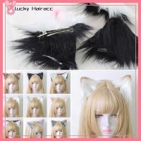 LUCKY HAIRACC คอสเพลย์ อุปกรณ์เสริมผม หูแมวหู โลลิต้า กิ๊บติดผม น่ารักน่ารักๆ อะนิเมะ แถบคาดศีรษะ อุปกรณ์เสริมเสริม