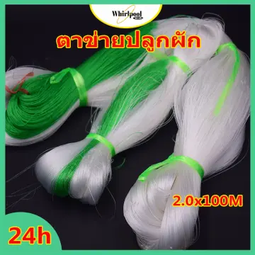 เสาไม้ยูคา ราคาถูก ซื้อออนไลน์ที่ - มิ.ย. 2023 | Lazada.Co.Th