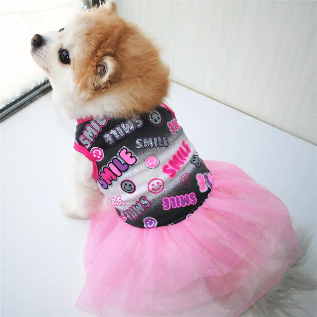 Váy Cho Chó Poodle Nơ Lớn  Váy công chúa cho Chó Mèo