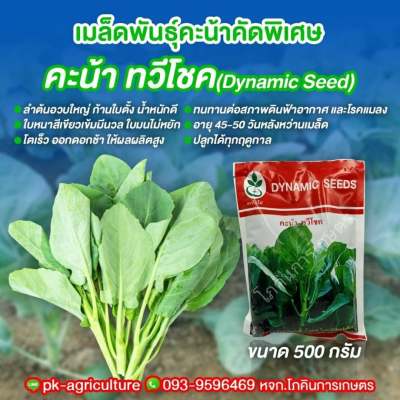 เมล็ดพันธุ์คะน้าคัดพิเศษ ทวีโชค ขนาด 500 กรัม