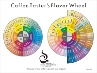 Flavor Wheel(SCAA) Poster Original Size 17.71 x 24" ไม่มีกรอบรูป