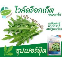 เมล็ด ผักสลัด ไวล์ด ร็อกเก็ต อพอลโล่ ( Wild Rocket ) จำนวน  400 เมล็ด ซุปเปอร์ฟู๊ด นำเข้าจากสหรัฐอเมริกา ผักสลัด สลัด