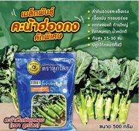 (Sale+) เมล็ดพันธุ์คะน้าเห็ดเชียงหอม (ฮ่องกง) ขนาด 500 กรัม ถูกดี ต้นไม้ เมล็ดพ