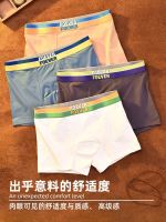 Mens underwear pure cotton comfortable breathable simple letter boys boxer briefs summer mens sports boxer shorts 【JYUE】