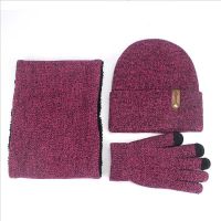Winter Beanie Hat Scarf Set For Women Men Knitted Outdoor Warm Scarf Hat Touch Screen Gloves Sets Skullies Beanies Hat Scarf Set
