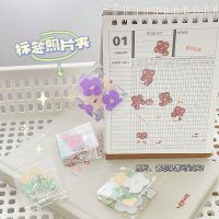 【jw】❃✽  4Pc/set Page Holder Paper Clip  Binder Clamp File Photo Stationery Storage Office School