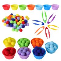 【CC】✤  Counting Pompoms Kids Sorting Bowls Toddler Activities Preschool Early Educational Motor Skills