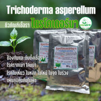 ไตรโคเดอร์มา Trichoderma asperellum ป้องกันและรักษาโรคพืช ชนิดผงเชื้อ(หัวเชื้อ)? ผสมสารจับใบ 100g. โรครากเน่า ใบเหี่ยว ใบจุด