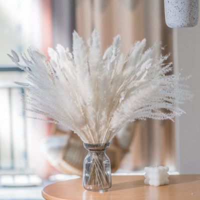 【CC】 65pcs Pampas Boho Wedding Arrangement Dried Bouquets Fluffy iving Room Table Decoration