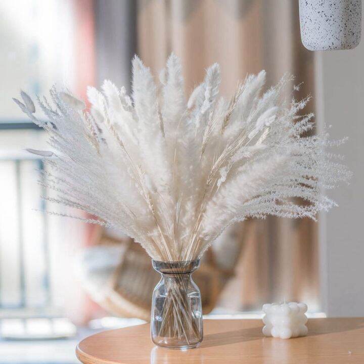 cc-65pcs-pampas-boho-wedding-arrangement-dried-bouquets-fluffy-iving-room-table-decoration