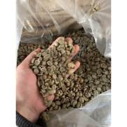 01kg_Nhân Cà phê sống ROBUSTA S18 CHỌN LỌC