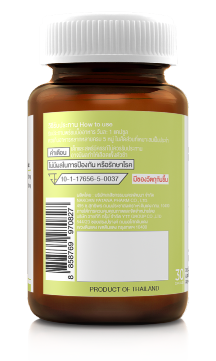 dary-vit-ginkgo-plus-ดารี่-วิต-อาหารเสริม-จิงโกะ-พลัส-30-แคปซูล-อาหารเสริม