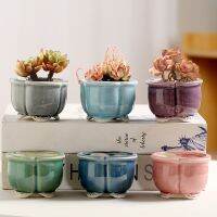 [hot]▲ஐ  Hand-Painted Succulent Flowerpot Planters with Personalized Minimalist Breathable Design Pots