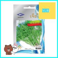 เมล็ดพันธุ์ผักชีลาว ตราเจียไต๋DILL SEEDS CHIA TAI **พลาดไม่ได้แล้วจ้ะแม่**