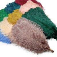 10Pcs/Lot New Colored Feathers for Crafts Feather Table Centerpieces Jewelry Handicrafts Decoration