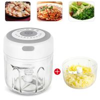 【CW】 250L Crusher Sturdy Durable Garlic Crushed Ginger  USB Charging Electric Masher