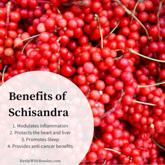 สารสกัดชิแซนดร้า-schizandra-580-mg-100-vegcaps-whole-berry-solaray-บำรุงปอด-ตับและไต