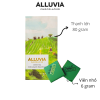 Socola matcha trà xanh nguyên chất nhật bản ngọt ngào alluvia chocolate - ảnh sản phẩm 9