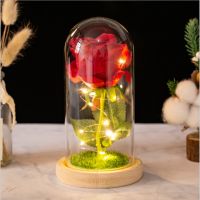 【CW】 Flower Beauty and the Beast Led Eternal Rose in Glass Christmas Artificial Flowers for Decor Wedding New Year gifts Home