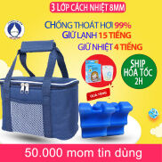 Set túi đá khô trữ sữa mẹ Bigmom công nghệ Mỹ bảo quản giữ lạnh 12 tiếng