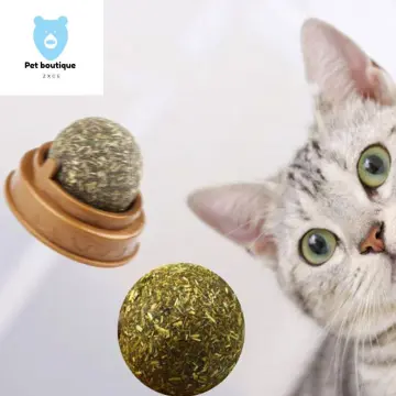 Catnip Ball Toys Rotatable Catnip Wall Roller Edible Cat Licking Toy Cat  Paw Cat Chew Toys Interactive Toys for Teeth Cleaning - China Cat Toy and  Catnip Ball price