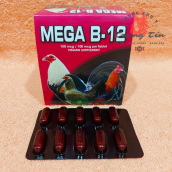 Thuốc gà đá - Mega B12 - nuôi gà cao cấp của philippine , tăng bo