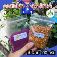 ออสโมโค้ท (Osmocote) + สตาร์เกิล จี (Starkle G) แบ่งขาย ขนาด 100 กรัม?