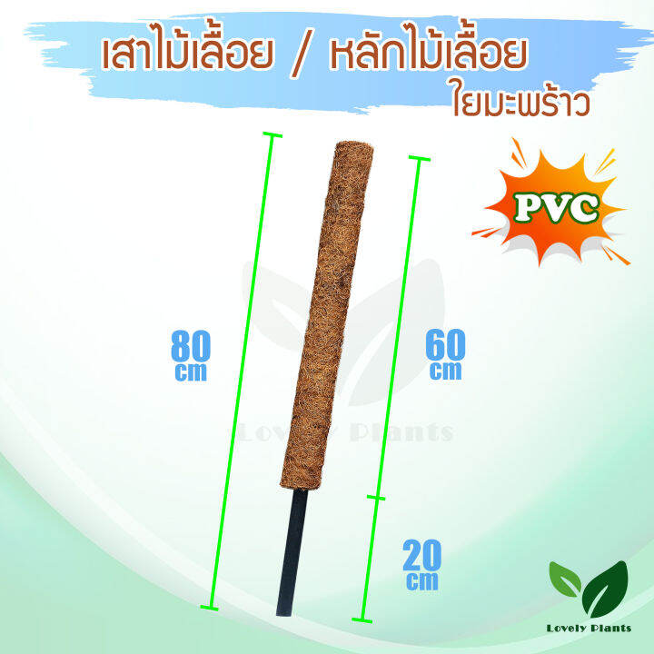 เสาไม้เลื้อย-เสาใยมะพร้าว-pvc