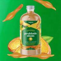 Vegain [480ml./ ขวด] Ginger Probiotic Shot (Fingerroot) น้ำขิงหมักรสกระชายขาว