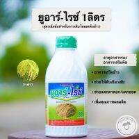 ยูอาร์-ไรซ์ (สูตรเข้มข้นสำหรับการเจริญเติบโตของต้นข้าวสาร) ขนาด 1ลิตร ตราเกือกม้าUnochem