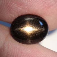 4.85 ct ซันสโตน (Sun Stone) ดำ ทอง ไข่หลังเบี้ย