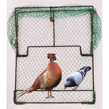 bird net effective trap - Buy bird net effective trap at Best Price in  Malaysia
