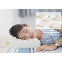 SLEEP WELL SHOP หมอนยางพารา100% หมอนหนุน ขายดีนยางพาราแท้ 100% พร้อมปลอกผ้าถอดซักได้ หมอนสุขภาพ ลดอาการปวดคอ นอนหลับสบาย