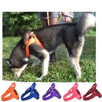 【FCL】∈■❉ Adjustable Breathable Collars Chain Dog Harness Leash Lead Set Chest Straps Accessories