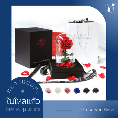 กุหลาบในโหลแก้ว Size M สูง 23 cm Preserved Rose มีให้เลือก 7 สี ดอกกุหลาบ ของขวัญครบรอบ กุหลาบอมตะ ของขวัญให้แฟน【ของแท้】