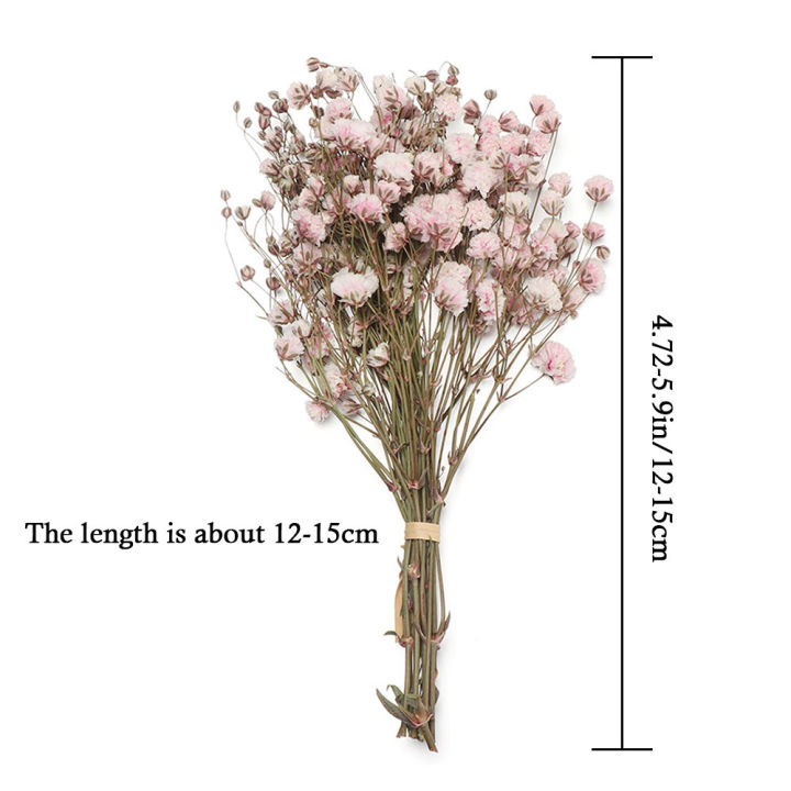 mp0y-สีสัน-ตกแต่งงานแต่งงาน-อุปกรณ์ประกอบฉากภาพ-วัสดุธรรมชาติ-ดอกไม้จริง-ลำต้นของพืช-ช่อดอกไม้ประดิษฐ์ธรรมชาติ-มินิ-babysbreath