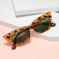 Brand Designer Cat Eye Sunglasses Women Retro Shades Candy Colors Sun Glasses Fashion Metal Chain Oculos De Sol Feminino