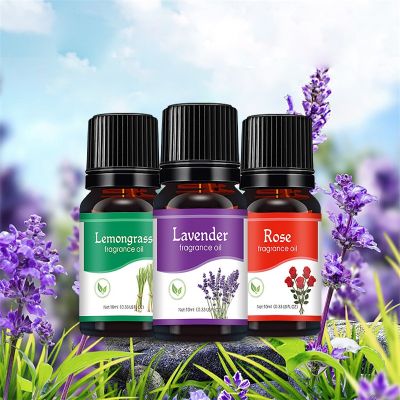 【CW】 New 12 Flavors Essential Oil Gift Box Tea Tree Peppermint Lavender Lemongrass Eucalyptus Vanilla Cinnamon Sandalwood Oil 10ml