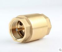 1/2 BSPP One-way Spring Vertical Check Valve Swing Type